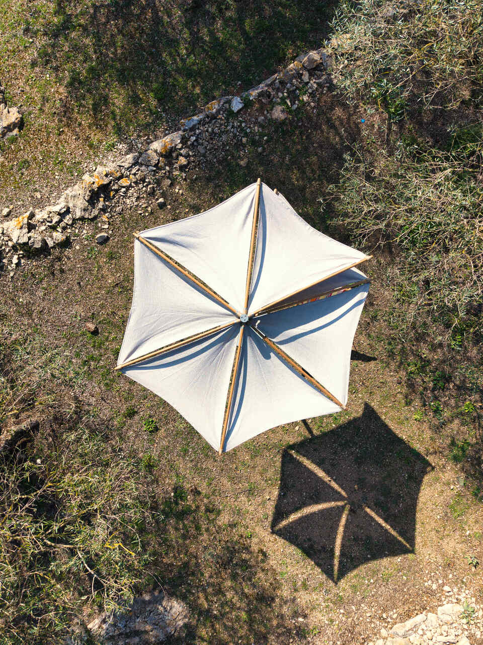 Parasol calma ini